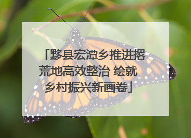黟县宏潭乡推进撂荒地高效整治 绘就乡村振兴新画卷