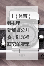 （体育）羽毛球——新加坡公开赛：陆光祖获男单亚军