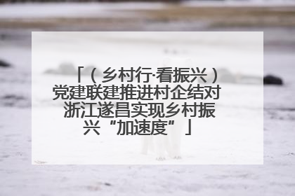 （乡村行·看振兴）党建联建推进村企结对 浙江遂昌实现乡村振兴“加速度”