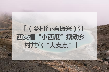 （乡村行·看振兴）江西安福“小西瓜”撬动乡村共富“大支点”