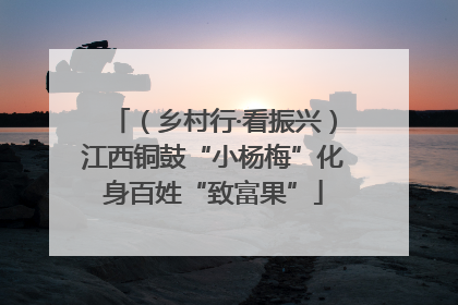 （乡村行·看振兴）江西铜鼓“小杨梅”化身百姓“致富果”