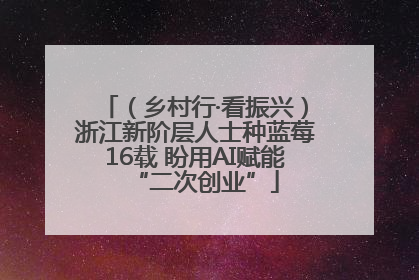 （乡村行·看振兴）浙江新阶层人士种蓝莓16载 盼用AI赋能“二次创业”