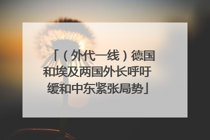 （外代一线）德国和埃及两国外长呼吁缓和中东紧张局势