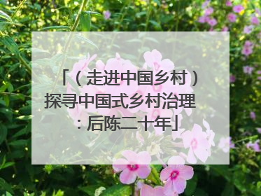（走进中国乡村）探寻中国式乡村治理：后陈二十年