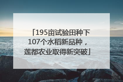 195亩试验田种下107个水稻新品种，莲都农业取得新突破