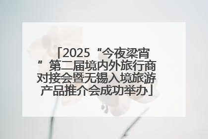 2025“今夜梁宵”第二届境内外旅行商对接会暨无锡入境旅游产品推介会成功举办