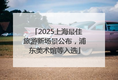 2025上海最佳旅游新场景公布，浦东美术馆等入选