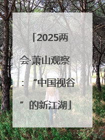 2025两会·萧山观察：“中国视谷”的新江湖