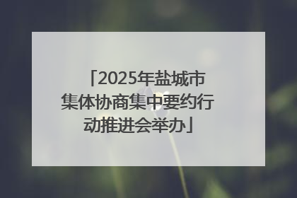 2025年盐城市集体协商集中要约行动推进会举办