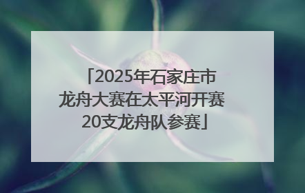 2025年石家庄市龙舟大赛在太平河开赛 20支龙舟队参赛