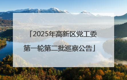 2025年高新区党工委第一轮第二批巡察公告
