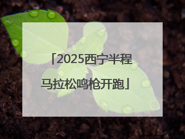 2025西宁半程马拉松鸣枪开跑