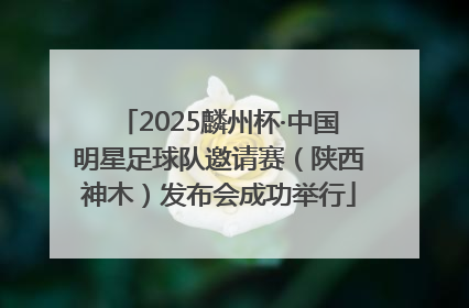 2025麟州杯·中国明星足球队邀请赛（陕西神木）发布会成功举行