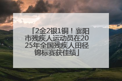 2金2银1铜！襄阳市残疾人运动员在2025年全国残疾人田径锦标赛获佳绩