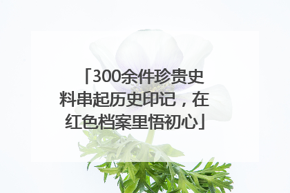 300余件珍贵史料串起历史印记，在红色档案里悟初心