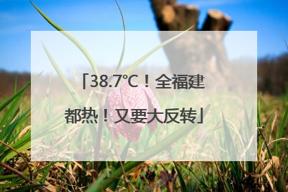38.7℃！全福建都热！又要大反转