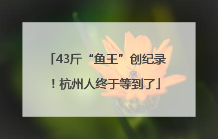 43斤“鱼王”创纪录！杭州人终于等到了