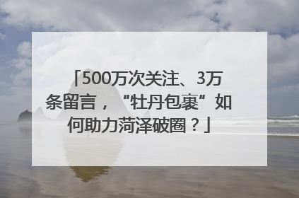 500万次关注、3万条留言，“牡丹包裹”如何助力菏泽破圈？