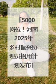 5000岗位！河南2025年乡村振兴协理员招用计划发布