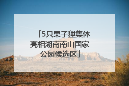 5只果子狸集体亮相湖南南山国家公园候选区