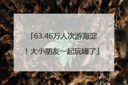 63.46万人次游海淀！大小朋友一起玩嗨了