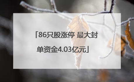 86只股涨停 最大封单资金4.03亿元