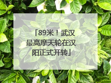 89米！武汉最高摩天轮在汉阳正式开转