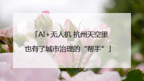 AI+无人机 杭州天空里也有了城市治理的“帮手”