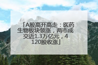 A股高开高走：医药生物板块领涨，两市成交近1.3万亿元，4120股收涨